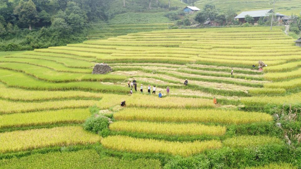 From Sapa: Terrace Fields and Local Villages Trek With Lunch - Last Words