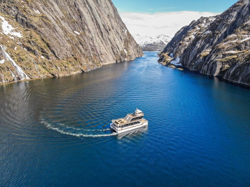 From Svolvær: Lofoten Islands Silent Trollfjord Cruise - Last Words