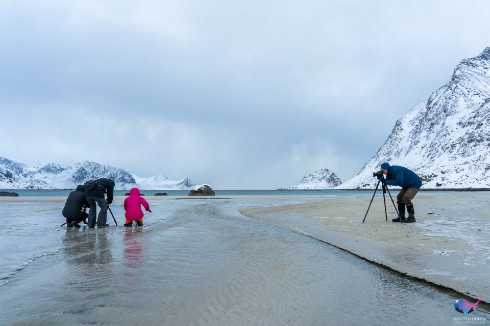 From Svolvaer: Lofoten Islands Tour With Photographer Guide - Tour Guide Expertise
