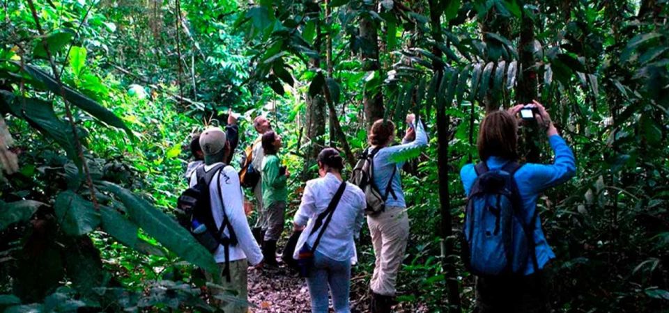 From Tambopata: in the Heart of Sandoval Lake 4d/3n - Cultural Immersion Activities