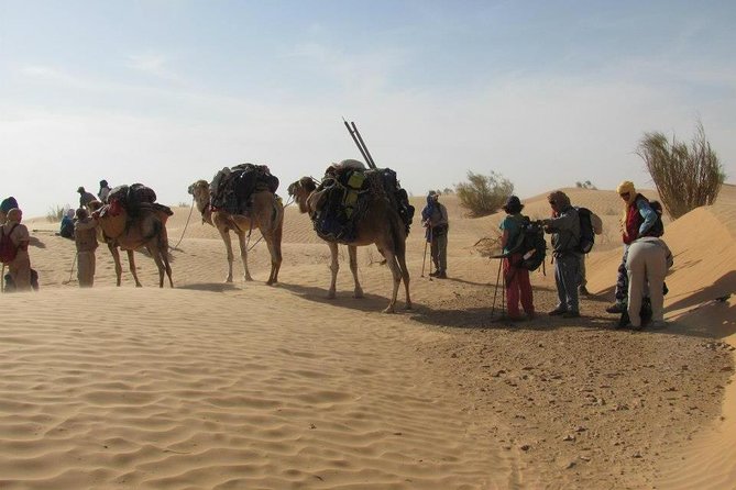 From Tozeur: 3-Day Desert Trip - Visit to Chott El Jerid