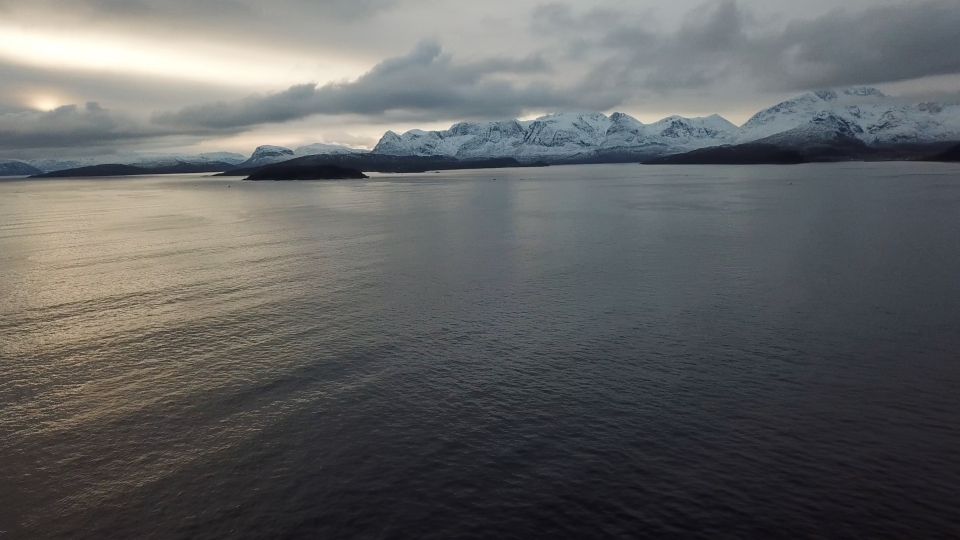 From Tromsø: All-Inclusive Whale and Sea Bird Boat Cruise - Common questions