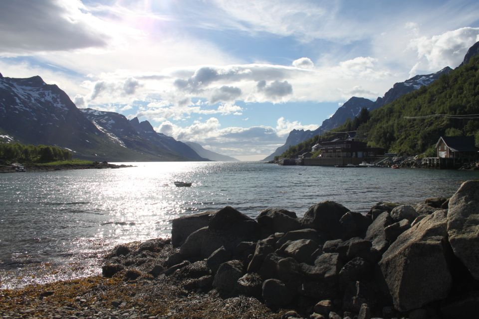 From Tromsø: Fjords Small Group Bus Tour - Booking Information