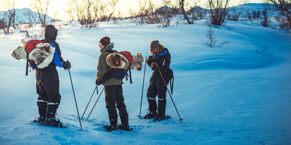 From Tromsø: Guided Husky Snowshoe Hike and Husky Camp Visit - Review Highlights and Ratings