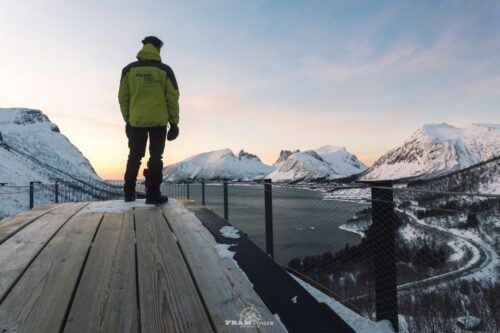 From Tromsø: Senja and Kvaløya Arctic Day Trip With Lunch - Wildlife Spotting Opportunities