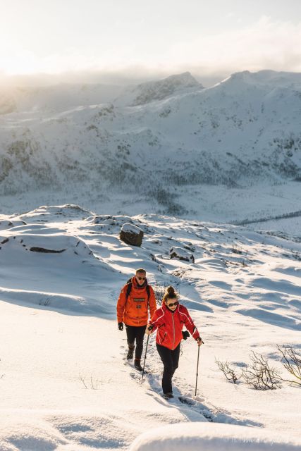 From Tromso: Small-group Snowshoeing Tour - Directions