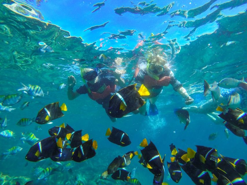 From Vallarta: Marietas Islands Snorkel Cruise - Directions