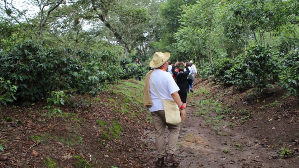 From Veracruz or Boca Del Río: Coffee Tour in Coatepec - Old Craftsmanship Marvel