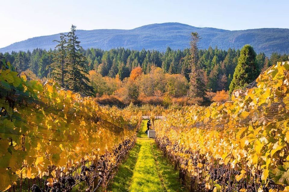 From Victoria: Private Cowichan Wine Tour With Lunch - Local Experience