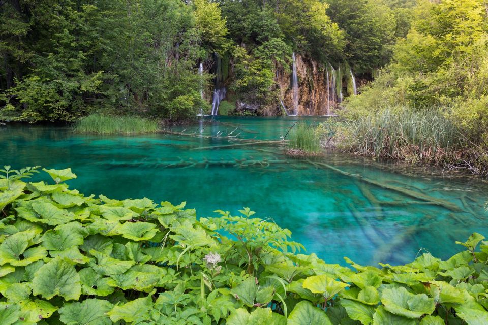 From Zadar: Plitvice Lakes Private Round-Trip Transfer - Common questions