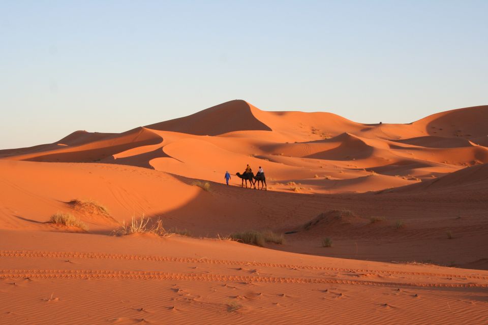 From Zagora: 2-Day Desert Tour to Erg Chegaga - Cultural and Natural Attractions