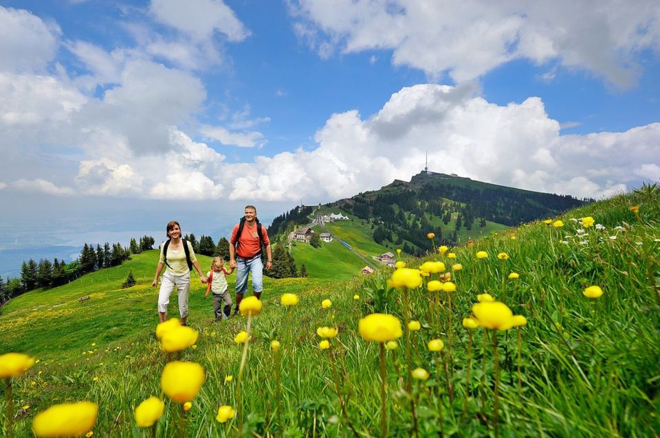 From Zürich: Guided Day Trip to Rigi and Lake Lucerne - Common questions