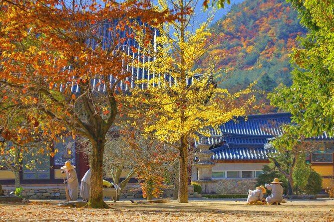 Full-Day Autumn Tour From Busan to Unmunsa Bhikkhuni Temple - Customer Support