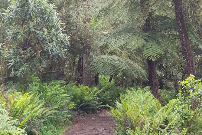 Full-Day Dandenong Ranges Tour With Pickup From Melbourne - Last Words