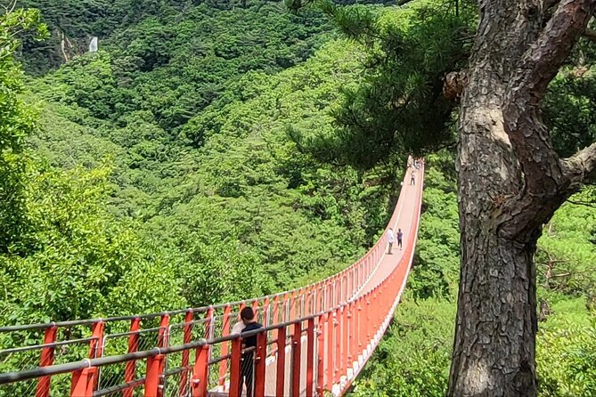 Full Day DMZ With Red Suspension Bridge Tour From Seoul - Cancellation Policy