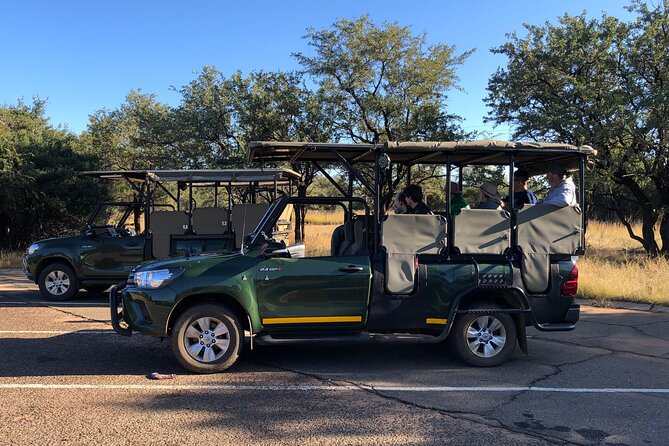 Full Day Exquisite Pilanesberg Safari From Johannesburg - Tips and Recommendations for Participants