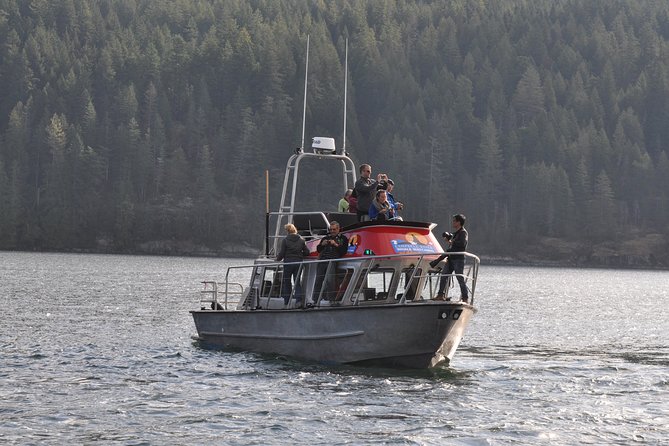 Full Day Grizzly Bear Tour to Toba Inlet - Safety Measures