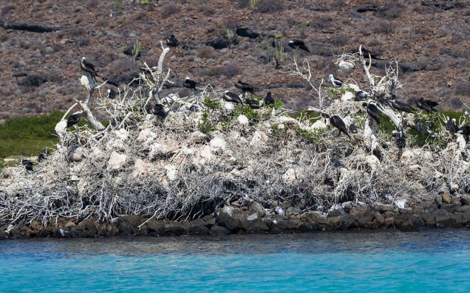 Full-Day Guided Tour Espíritu Santo Island & Sea Lions - Inclusions and Amenities Provided