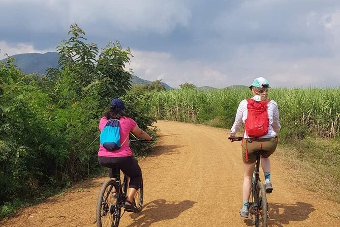 Full-Day Historical Park and Countryside Tour in Sukhothai - Last Words