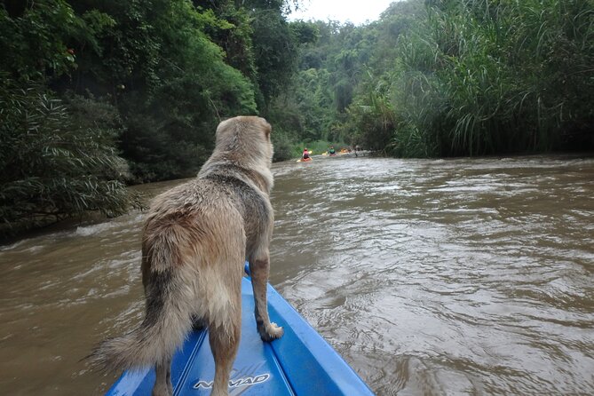 Full-Day Jungle Kayak Mae Wang Rock Hopper Trip From Chiang Mai - Common questions