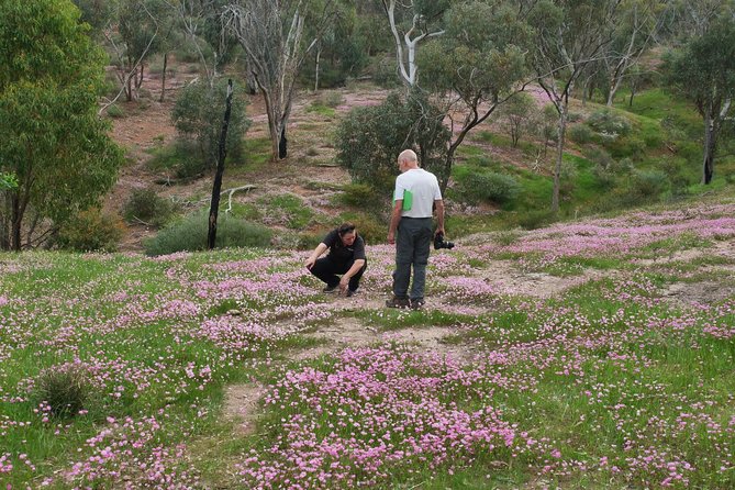 Full-Day Perth Flower Photography Excursion - Important Additional Information