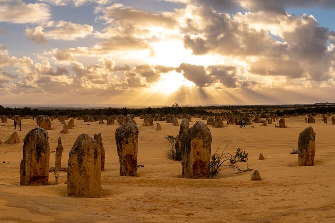 Full-Day Pinnacles Desert and Yanchep National Park Tour From Perth - Viators Tour Policies