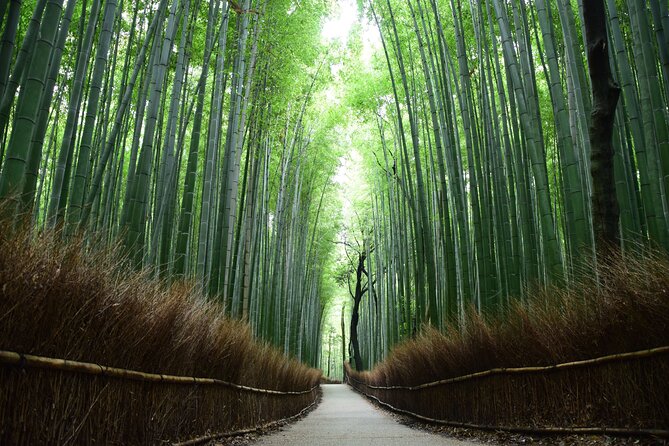 Full-Day Private Bamboo Grove and Golden Temple in Kyoto Tour - Cancellation Policy