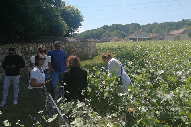 Full-Day Private Champagne Tasting in Reims and Its Vineyards - Assistance and Contact Information