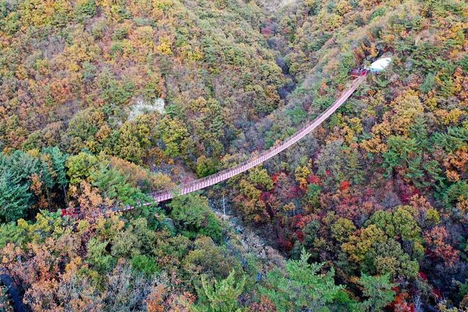 Full Day Private Tour DMZ (The 3rd Tunnel) & Suspension Bridge - Common questions