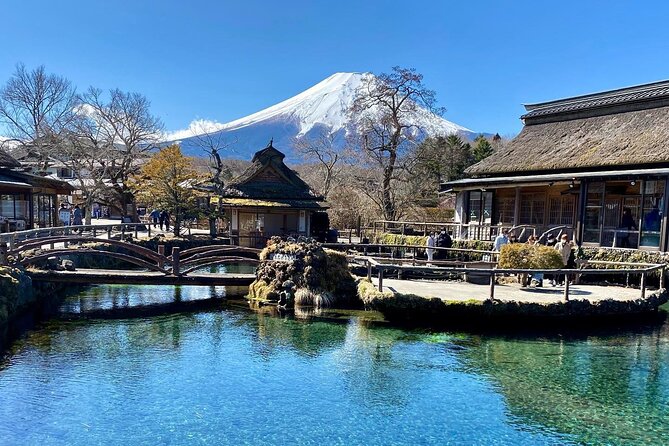 Full Day Private Tour of Mt Fuji and Hakone - Common questions