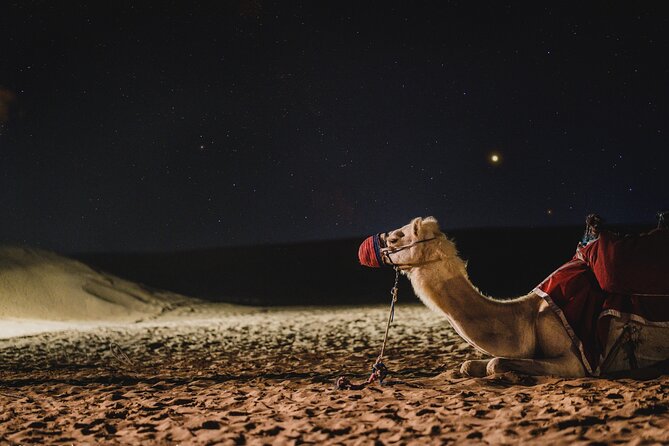 Full Day Qatar North and Desert Safari With Pickup - Safety and Guidelines