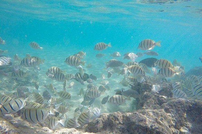Full-Day Racha Noi and Racha Yai Snorkeling From Phuket - Tips for a Memorable Experience