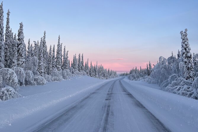 Full-Day Reindeer Tour With Pickup in Kiruna - Common questions