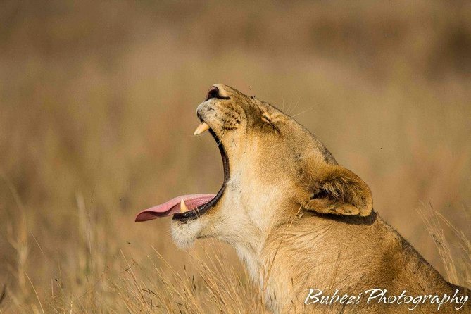 Full Day Safari - Kruger National Park - Contact Information