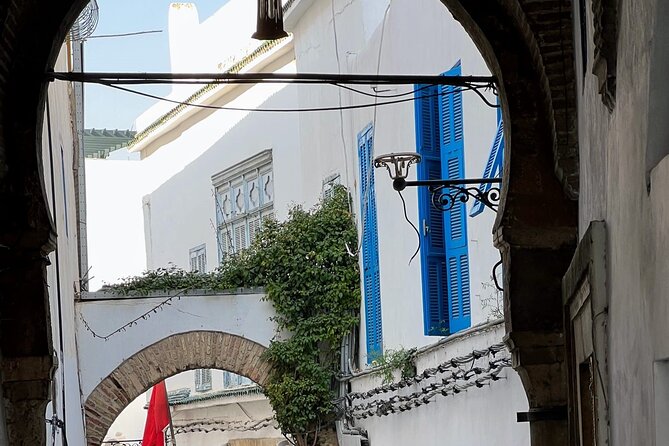 Full-Day Shore Excursion Private Tour in Tunisia Carthage ,Medina, Sidi Bou Said - Viator Help Center