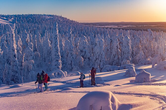 Full-Day Snowshoeing Adventure in Amethyst Mine Pyhä Luosto - Common questions