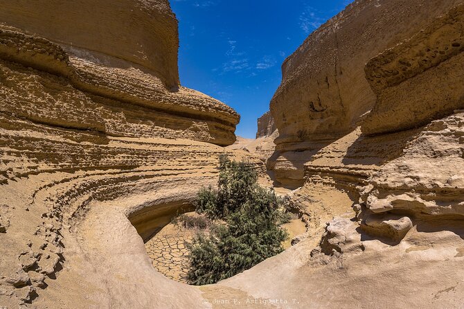 Full Day Tour Canyon of the Lost in Ica Desert - Last Words