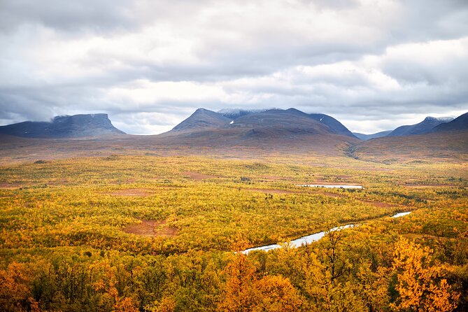 Full-Day Tour in Kiruna City and Abisko National Park With Lunch - Expert Guided Tours