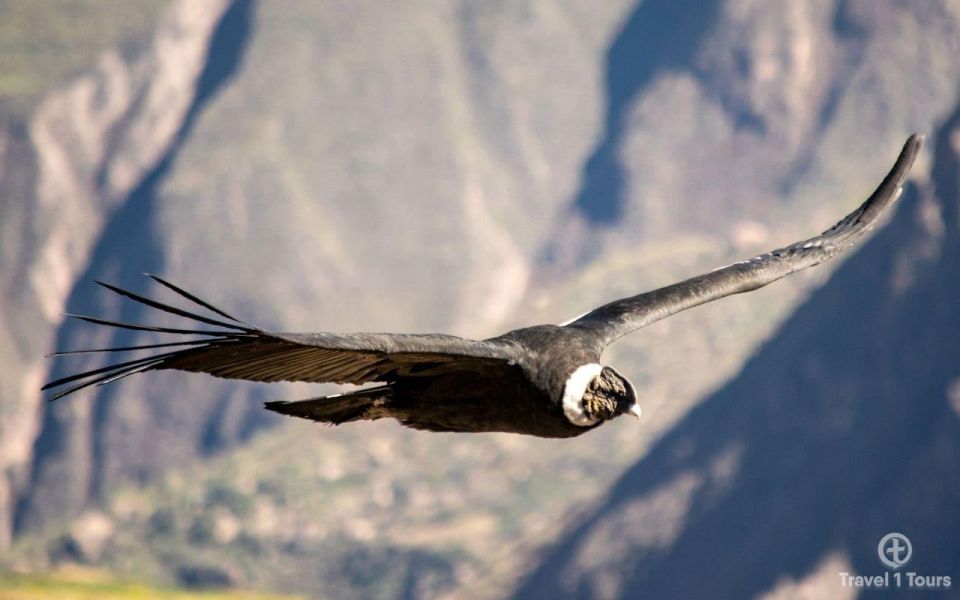 Full Day Tour of the Colca Canyon From Arequipa - Tour Directions and Guidelines