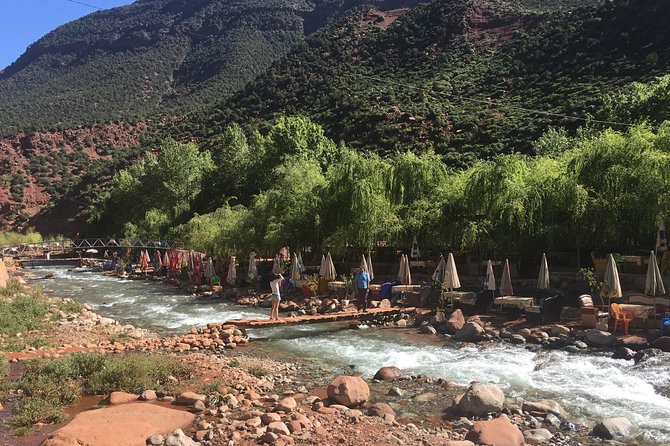 Full Day Tour Ourika Valley and Atlas Mountains - Viators Terms and Conditions