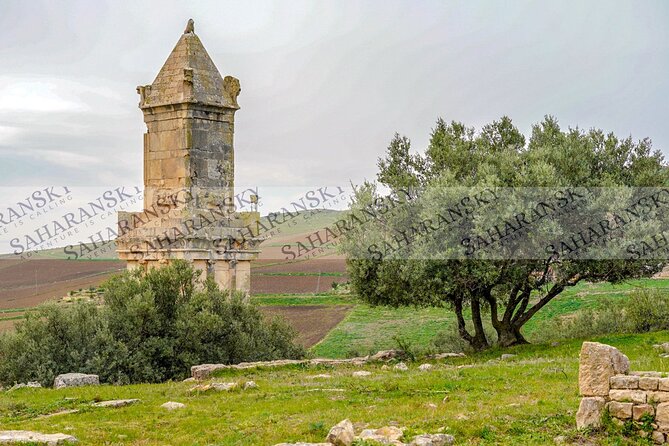 Full Day Uthina and Dougga Tour From Tunis - 6. Booking Process