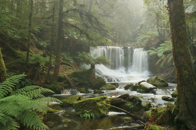 Full-Day Waterfalls, Wilderness & Wildlife Hobart Tour - Common questions