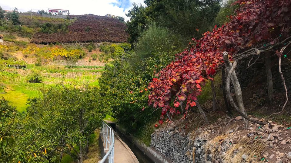 Funchal: Northern Levada Walking Tour - Common questions