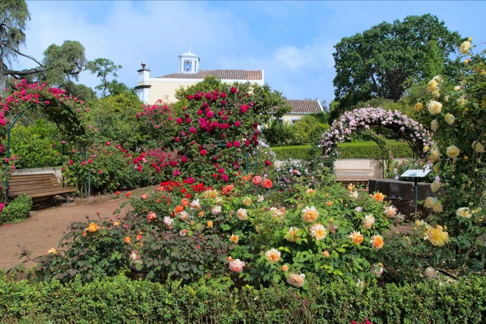 Funchal: Palheiro Gardens and Old Town Private Tuk Tuk Tour - Tuk Tuk Chauffeur