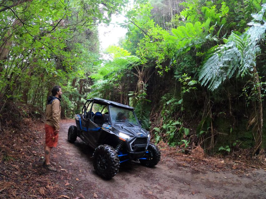 Funchal: Private Off-Road Buggy Tour With Guide & Transfers - Last Words