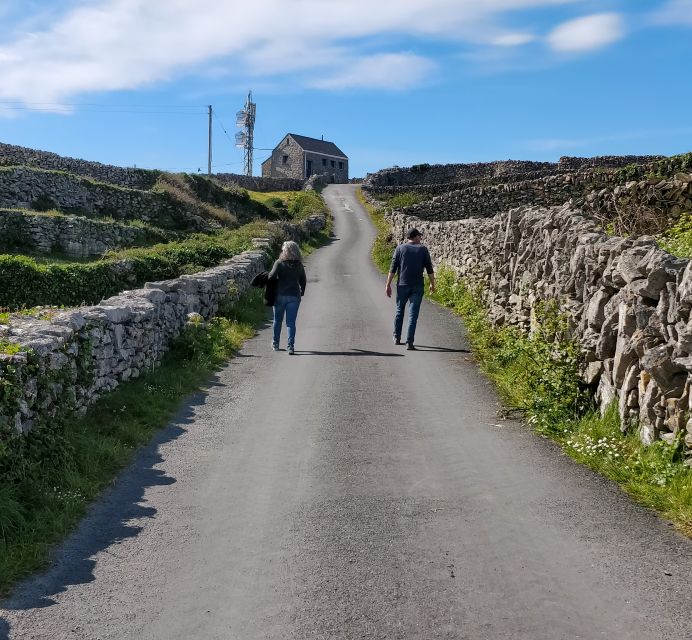 Galway: Cliffs Cruise, Aran Islands & Connemara Day Tour - Reviews & Testimonials