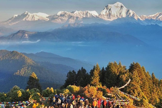 Ghorepani Ghandruk Trek ( Poon Hill Circuit, Annapurna Sunrise View Trek) - Trekking Tips and Recommendations