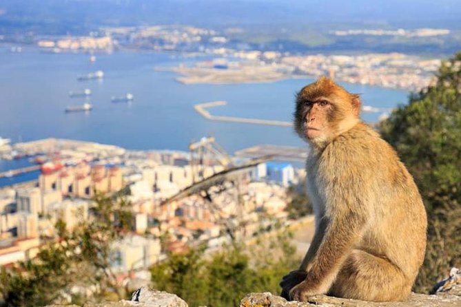 Gibraltar Private Tours From Seville - Directions