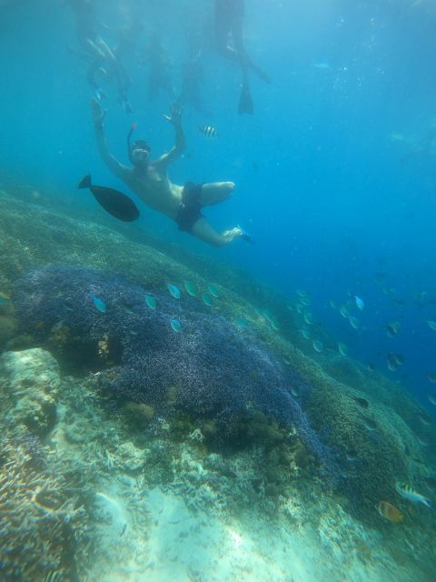 Gili Trawangan : Half Day Snorkeling With Turtle and Statue - Common questions