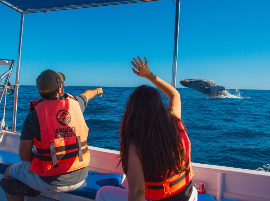 Glass Bottom Boat Whale Watching - Beach Relaxation Opportunity